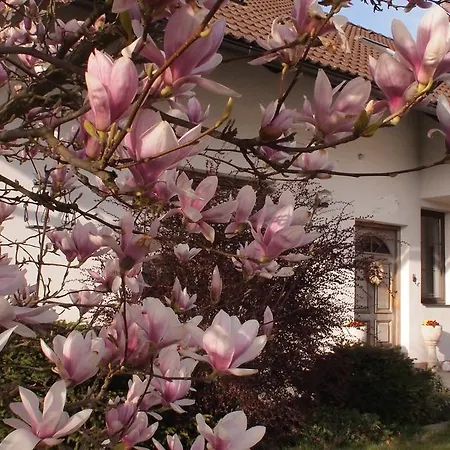 Apartment Pod Kozakovem