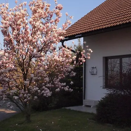 Pod Kozakovem