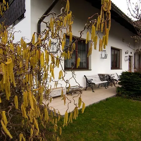 Apartment Pod Kozakovem Tatobity
