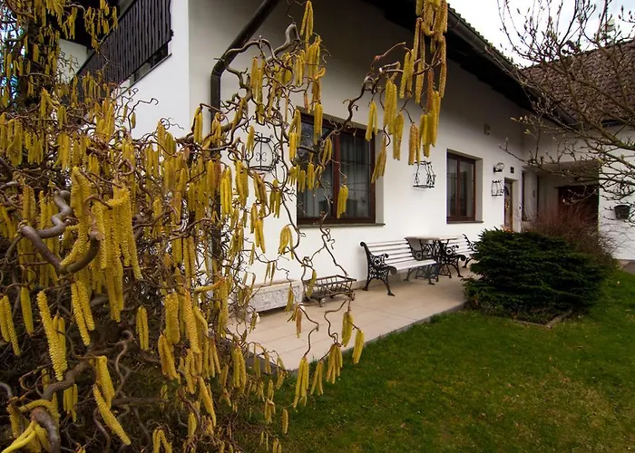 Apartment Pod Kozakovem Tatobity